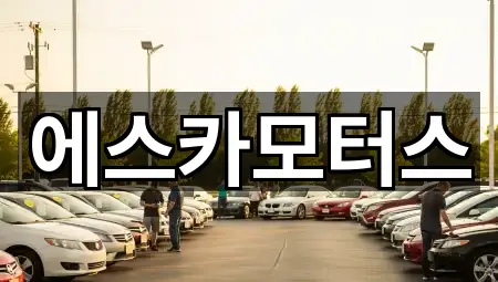 율현동 중고차 5곳 주변 보기