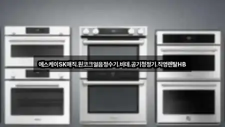 전주시 덕진구 팔복동3가 비데렌탈 연락처·위치 5건