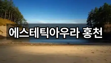 에스테틱아우라 홍천