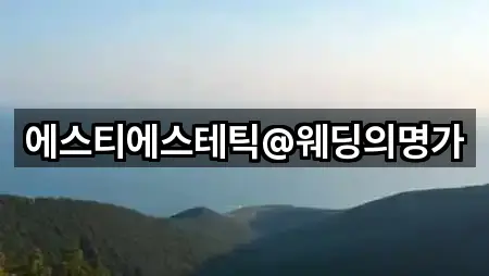에스티에스테틱@웨딩의명가