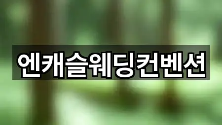 요약 브리프: 남원시 용정동 웨딩컨설팅 1곳