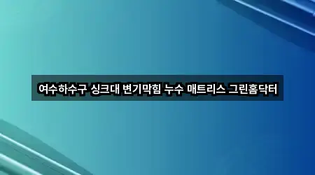 여수하수구 싱크대 변기막힘 누수 매트리스 그린홈닥터
