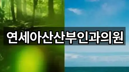 주변 추천: 경기 안성시 현수동산부인과 5곳