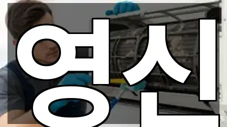 강원 동해시 이기동 청소업체 빠른 조회 5곳