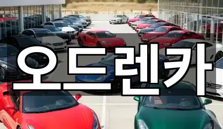 핵심만 보기: 경기 소사구 장기렌트카 4곳