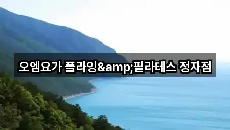 5곳 경기도 수원 장안구 정자동 필라테스 업데이트