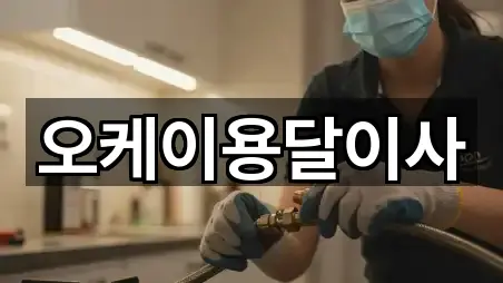 강원 철원군 철원읍 용달이사 4곳 주소 체크