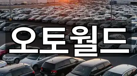 대전 중구 석교동 중고차 5곳 위치 열람