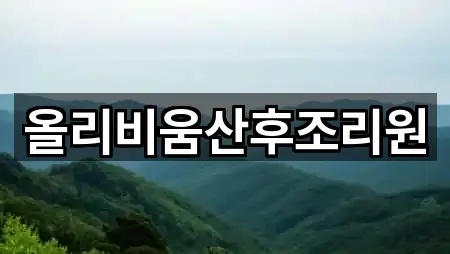 서울 부암동 산후조리원 인기 순위 1곳