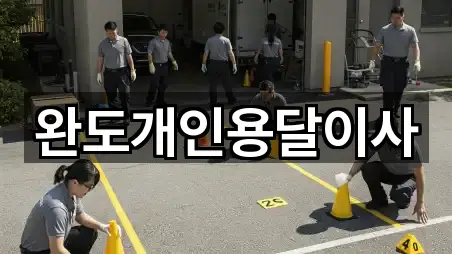 주소 브리핑: 전라남도 완도읍 용달이사 5곳