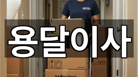 대구 달서구 장기동 용달이사 위치 확인 4곳