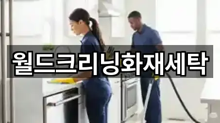 월드크리닝화재세탁