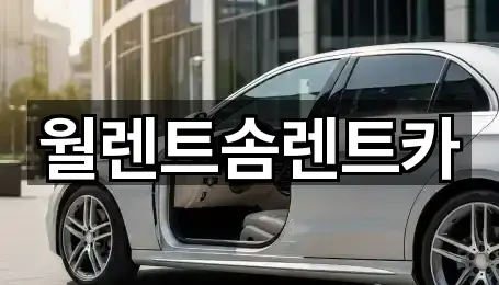 월렌트솜렌트카