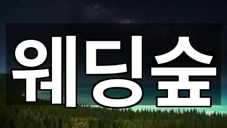 종로구 권농동 웨딩컨설팅 지도에서 한 번에 5곳