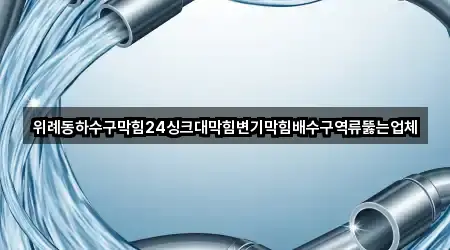 위례동하수구막힘24싱크대막힘변기막힘배수구역류뚫는업체