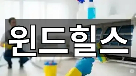 진해구 풍호동 청소 문의 많은 5곳