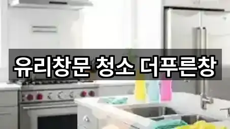 유리창문 청소 더푸른창