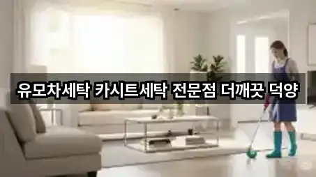 유모차세탁 카시트세탁 전문점 더깨끗 덕양