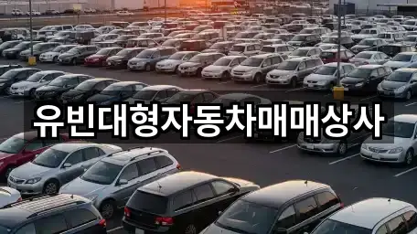컬렉션 | 경남 창원 진해구 가주동 중고차 5곳