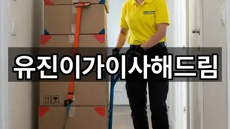 유진이가이사해드림