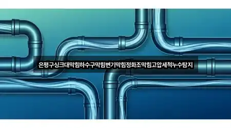 은평구싱크대막힘하수구막힘변기막힘정화조막힘고압세척누수탐지