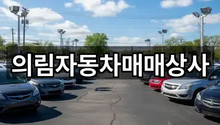 충북 송학면중고차 지도에서 찾기 5곳