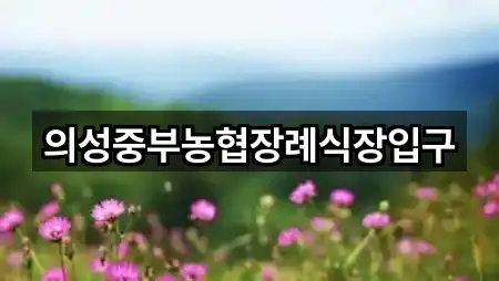 경상북도 의성군 봉양면 예식장 연락처 모음 1건
