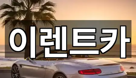 즉시 안내: 동구장기렌트카 2곳