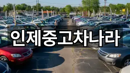 강원 인제군 인제읍 중고차 5곳 지번 주소