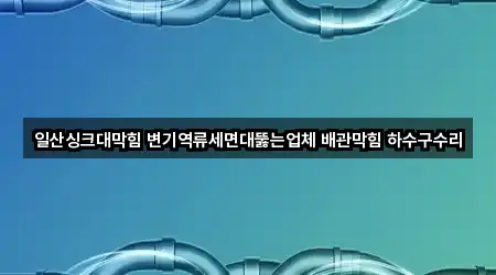일산싱크대막힘 변기역류세면대뚫는업체 배관막힘 하수구수리