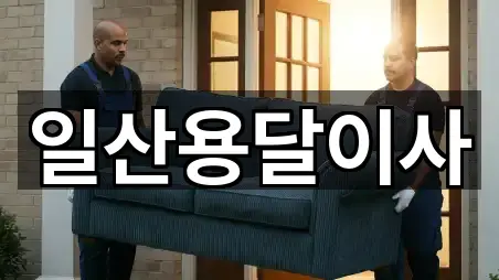 경기 고양 일산동구 정발산동 용달이사 기본 정보 5곳