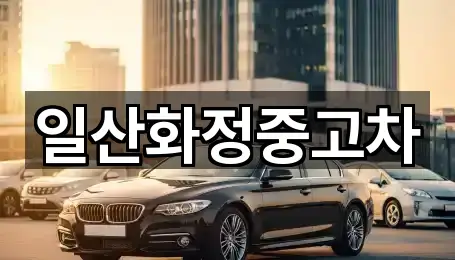 일산화정중고차