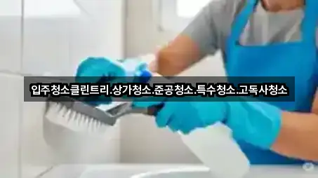 입주청소클린트리.상가청소.준공청소.특수청소.고독사청소