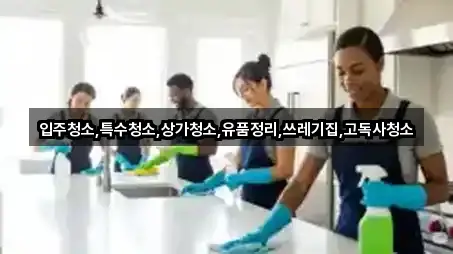 백운면 청소업체 문의 많은 5곳