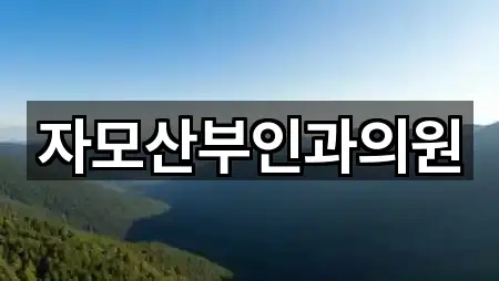 자모산부인과의원