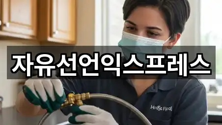 자유선언익스프레스