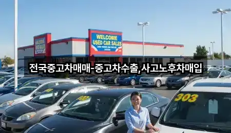 전주시 중앙동1가 중고차 4곳 | 즉시 연결