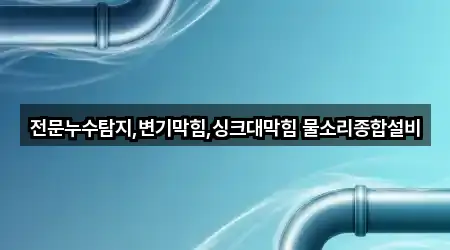 전문누수탐지,변기막힘,싱크대막힘 물소리종합설비