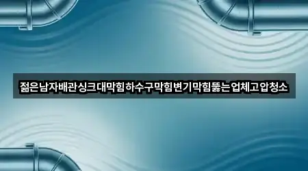 젊은남자배관싱크대막힘하수구막힘변기막힘뚫는업체고압청소