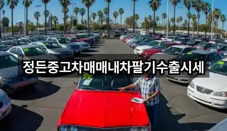 정든중고차매매내차팔기수출시세