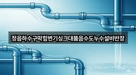 정읍하수구막힘변기싱크대뚫음수도누수설비반장