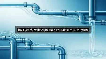 정화조막힘변기막힘변기역류정화조문제정화조뚫는곳하수구역류류
