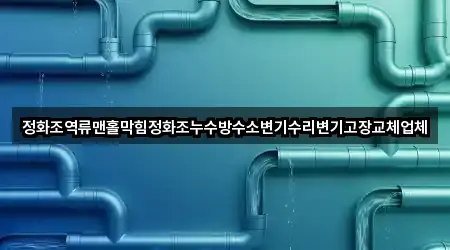 정화조역류맨홀막힘정화조누수방수소변기수리변기고장교체업체