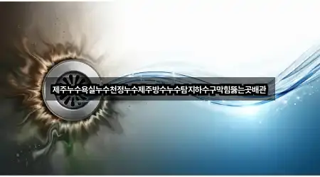 제주누수욕실누수천정누수제주방수누수탐지하수구막힘뚫는곳배관