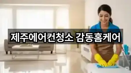 문의 한 번에: 제주 서귀포시 성산읍 청소업체 5곳