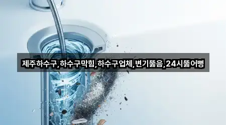 제주하수구,하수구막힘,하수구업체,변기뚫음,24시뚫어뻥