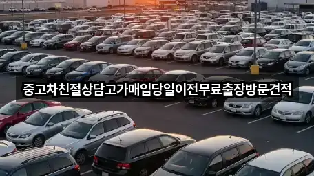빠르게 연결: 경기 용인시 수지구 동천동 중고차 4곳