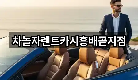 차놀자렌트카시흥배곧지점