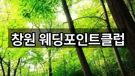 창원 웨딩포인트클럽