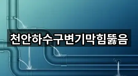 천안하수구변기막힘뚫음